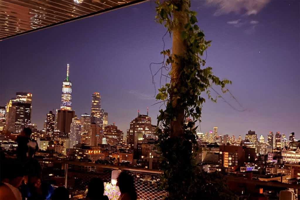 New York: En utekväll på Public - Popular och The Roof