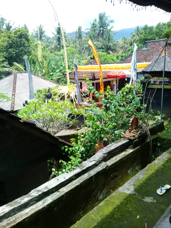 Nyoman Bali