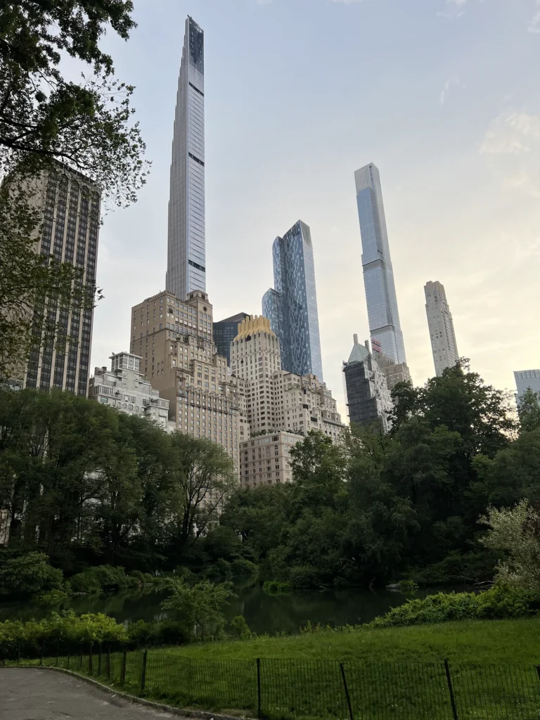 New York: Tvättbjörnar i Central Park