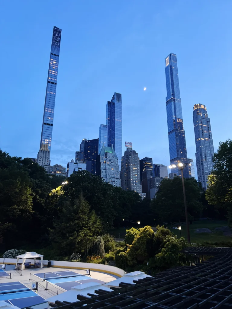 New York: Tvättbjörnar i Central Park