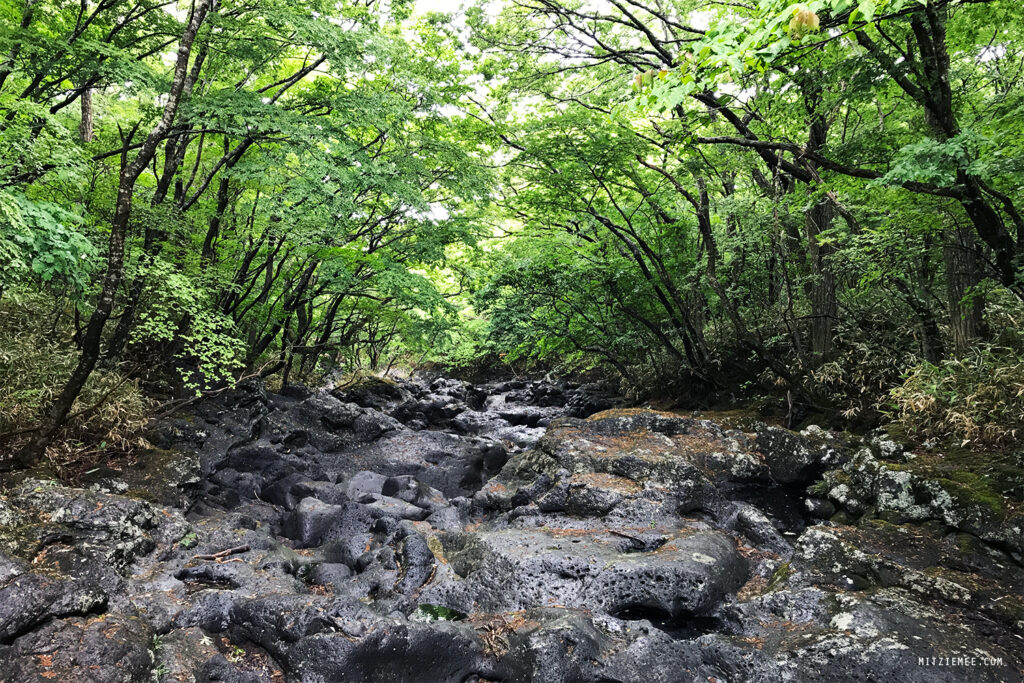 Sydkorea: Hallasan för nybörjare