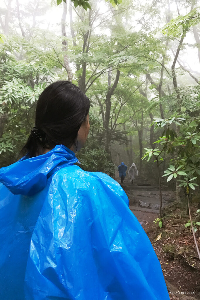 Sydkorea: Hallasan för nybörjare